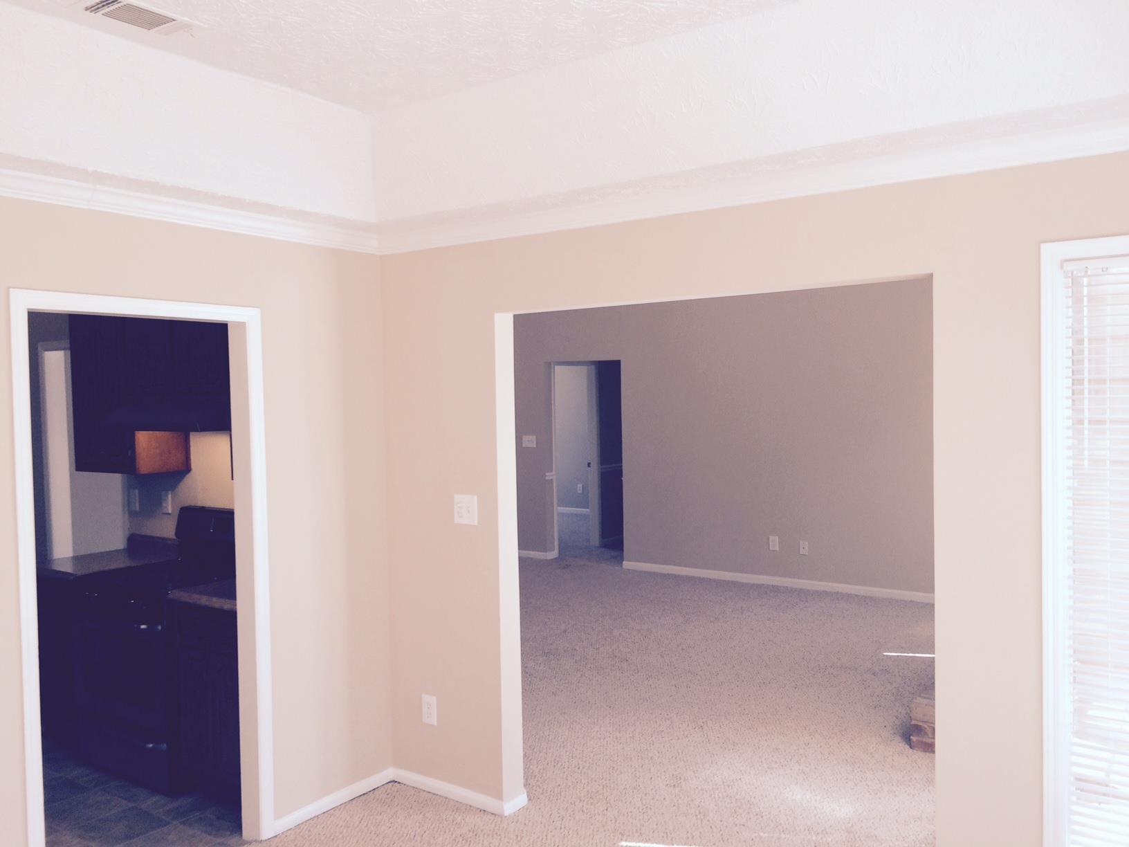 1336 Brady Ct, Hampton, GA 30228 photo 12