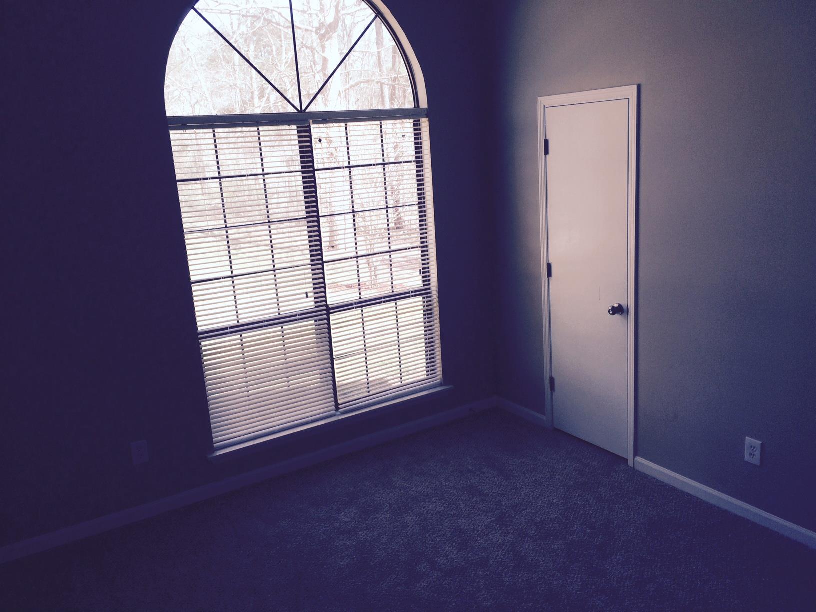 1336 Brady Ct, Hampton, GA 30228 photo 21