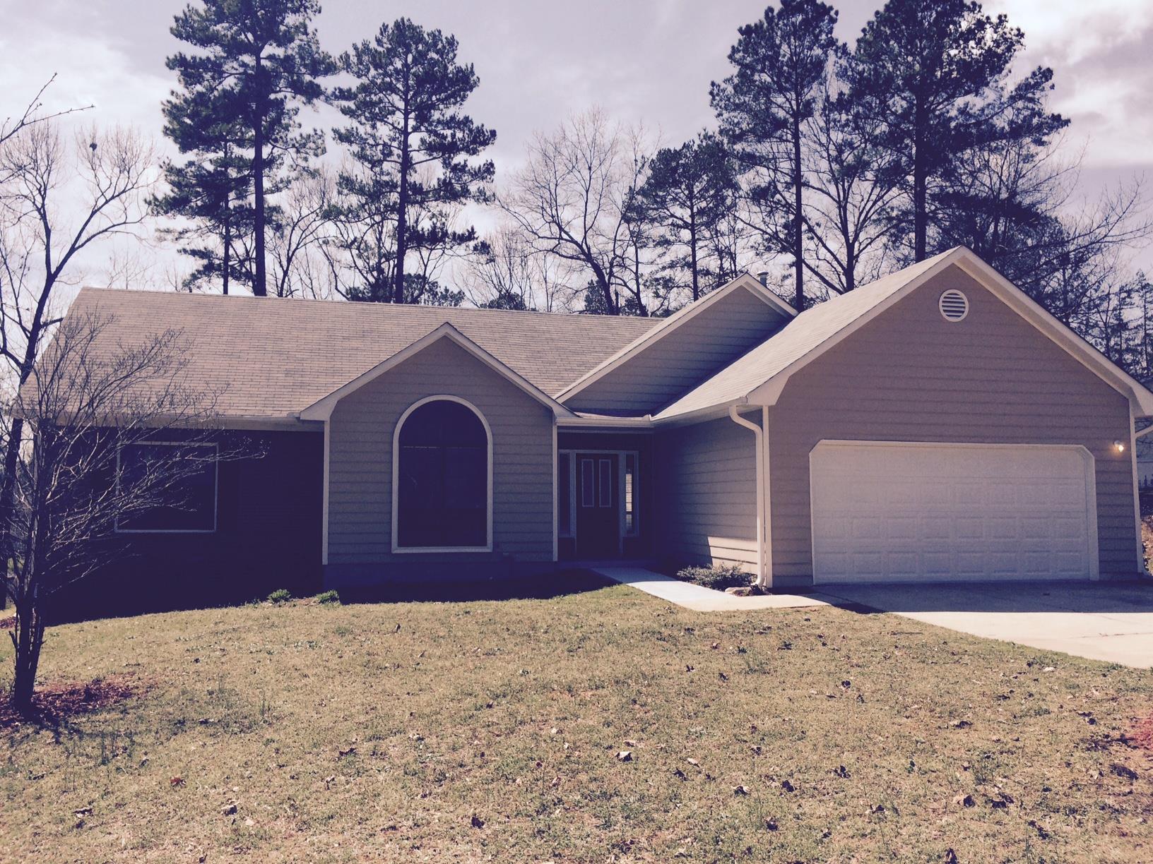 1336 Brady Ct, Hampton, GA 30228 photo 1