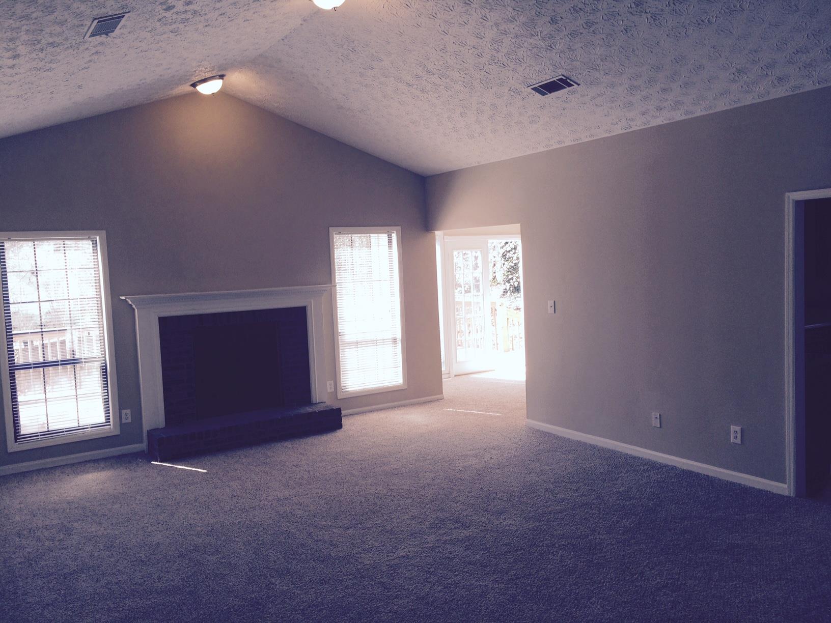 1336 Brady Ct, Hampton, GA 30228 photo 9
