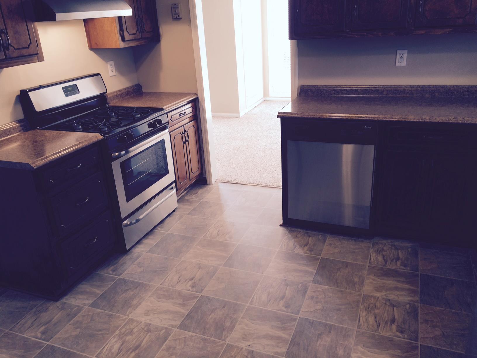 1336 Brady Ct, Hampton, GA 30228 photo 13