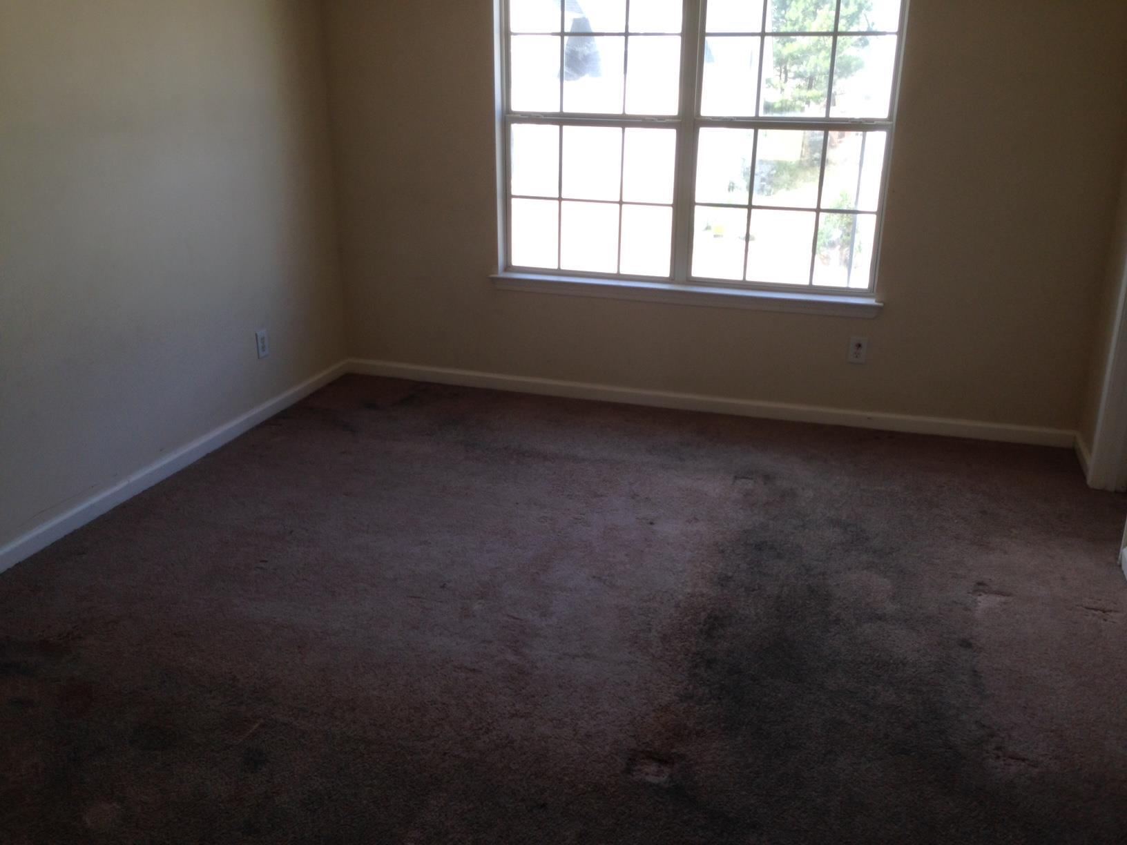 150 Hazelhurst Dr, Covington, GA 30016 photo 7