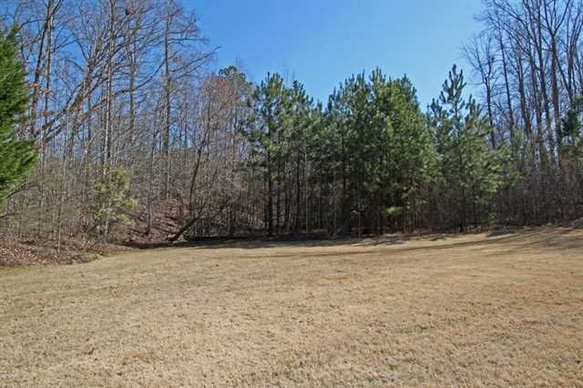 142 Augusta Dr, Mcdonough, GA 30253 photo 22
