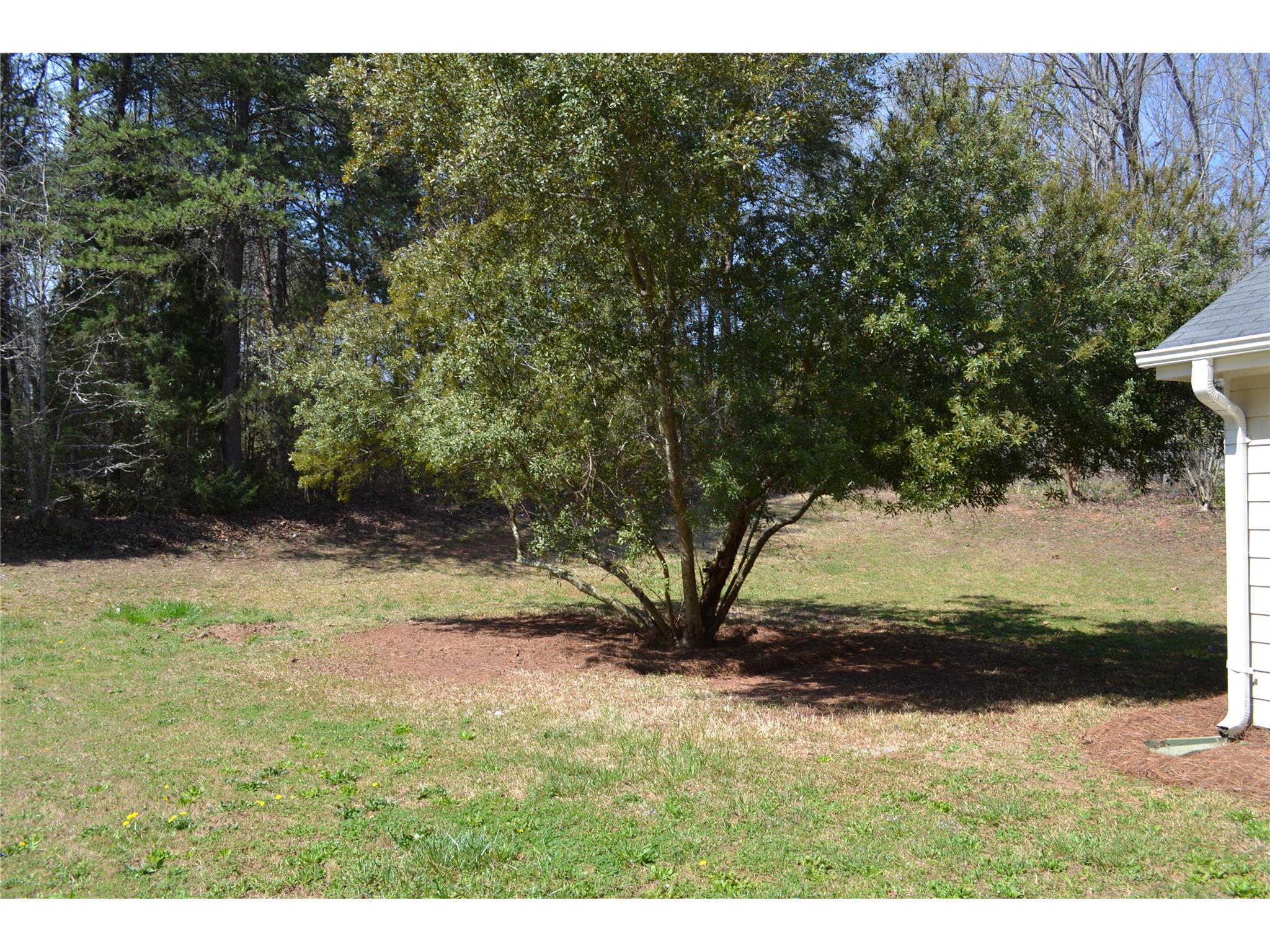 165 Lakefront Dr, Covington, GA 30016 photo 7