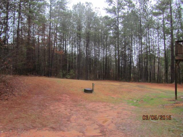 12888 Simmons Rd, Hampton, GA 30228 photo 3