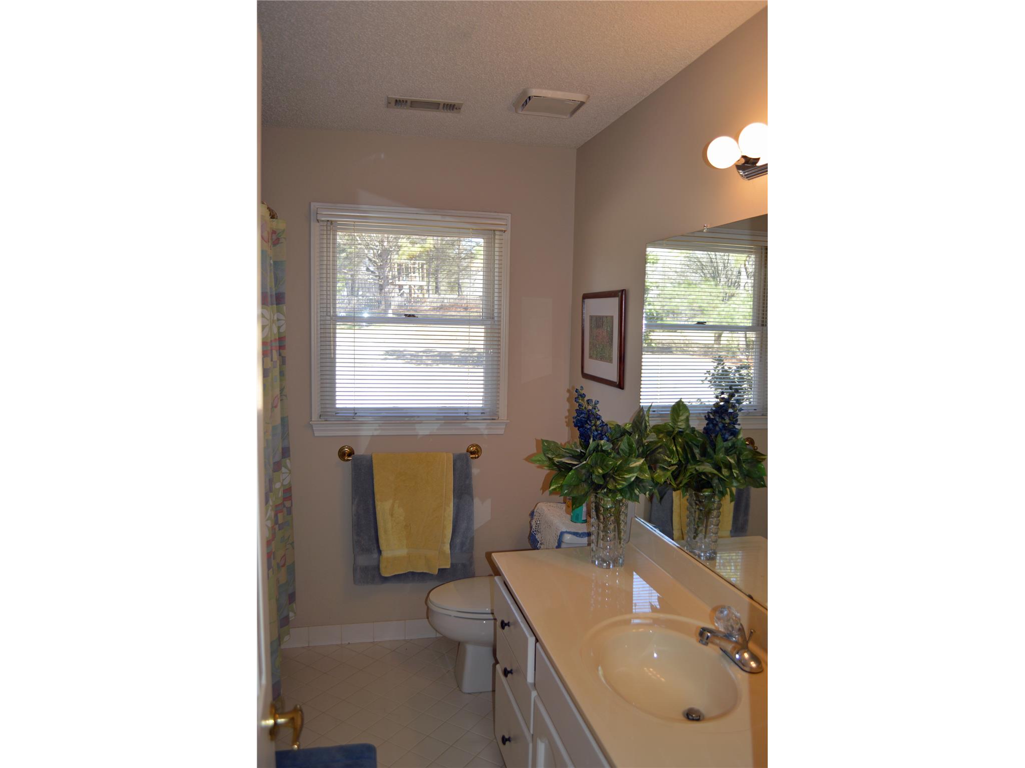 120 Pendleton Trl, Tyrone, GA 30290 photo 13