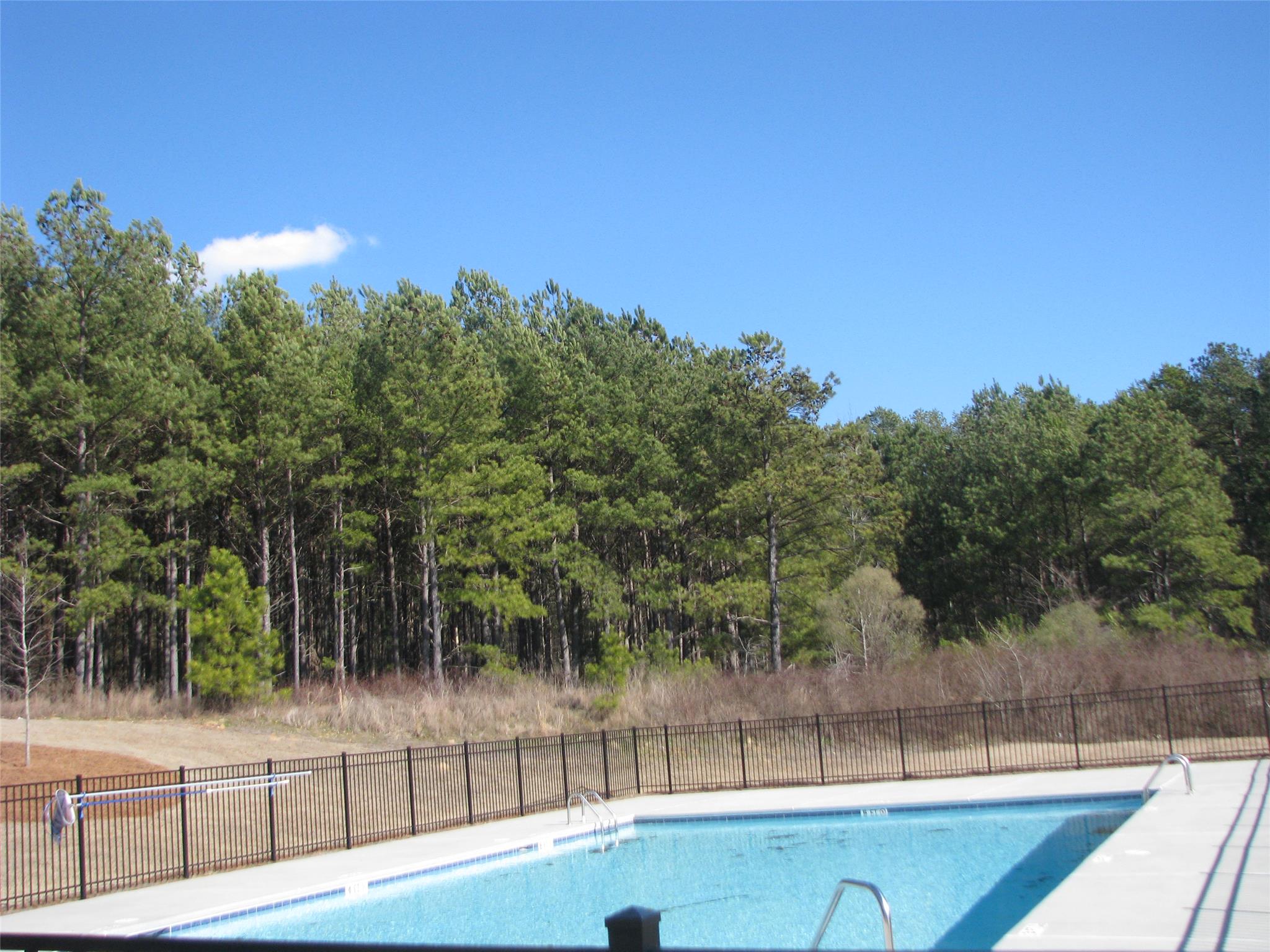 1981 Browning Bend Ct, Dacula, GA 30019 photo 2