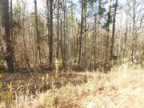252 Buck Rd, Gray, GA 31032 photo 7