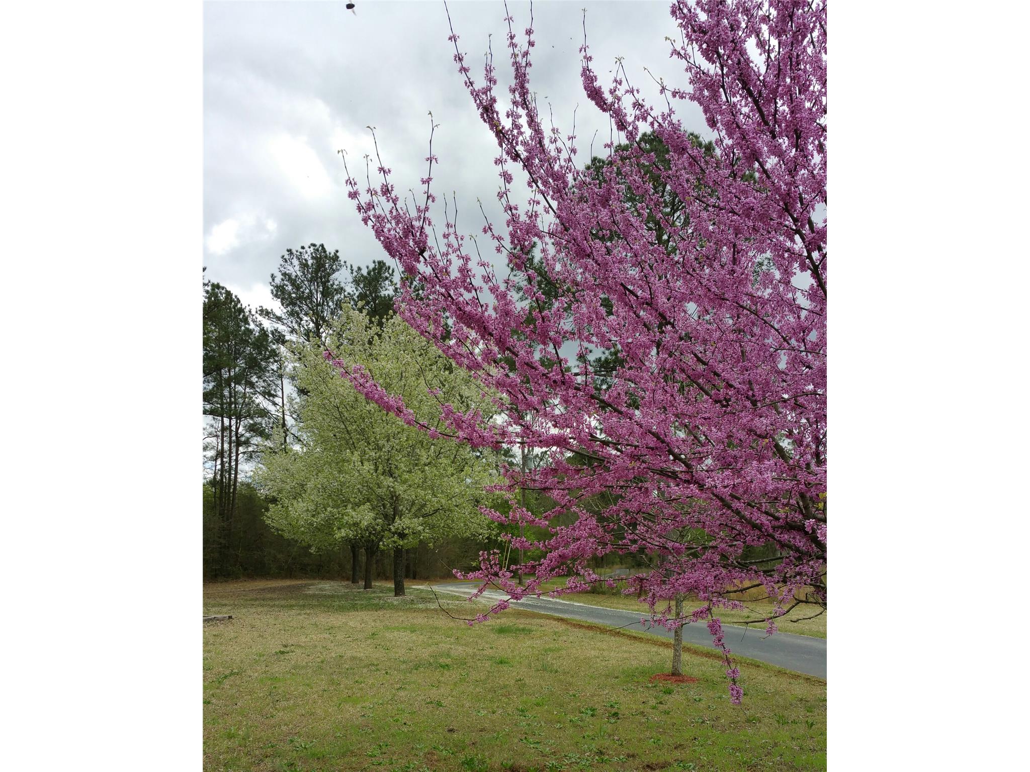 744 Cannafax Rd, Barnesville, GA 30204 photo 22