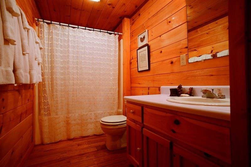 196 Tipton Ct, Cherry Log, GA 30522 photo 8