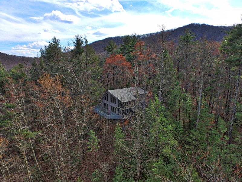 196 Tipton Ct, Cherry Log, GA 30522 photo 2