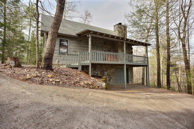 196 Tipton Ct, Cherry Log, GA 30522 photo 1