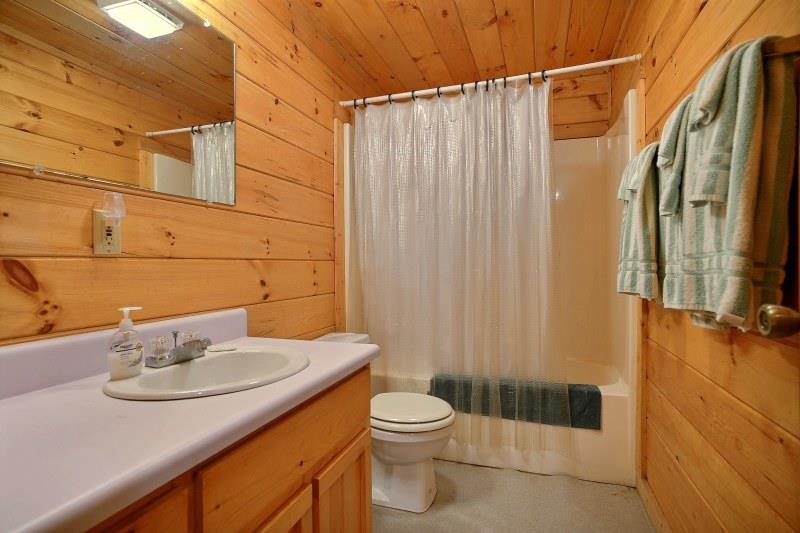 196 Tipton Ct, Cherry Log, GA 30522 photo 17