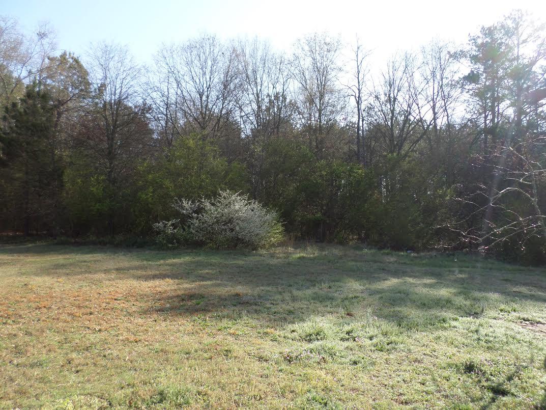 1319 Fairview Dr, Monroe, GA 30656 photo 3