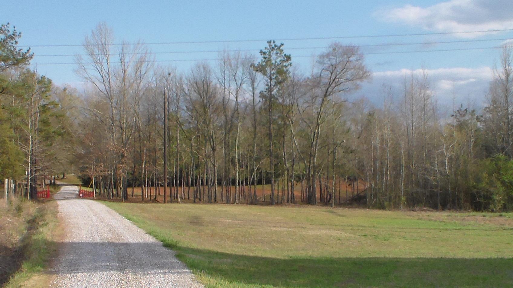 779 Cleghorne Rd, Colbert, GA 30628 photo 2