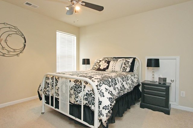 430 Deepstream Xing, Canton, GA 30115 photo 20