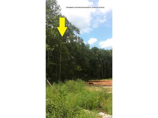 170 Haddock Pt, Brooks, GA 30205 photo 5