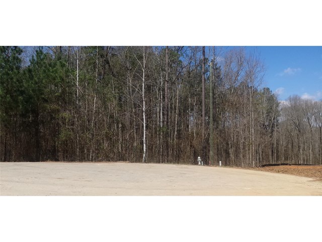 170 Haddock Pt, Brooks, GA 30205 photo 2