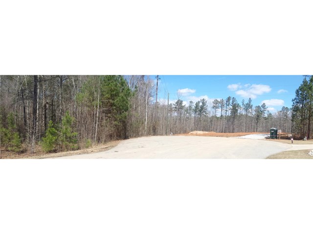 170 Haddock Pt, Brooks, GA 30205 photo 3