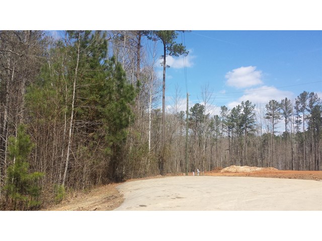 170 Haddock Pt, Brooks, GA 30205 photo 4