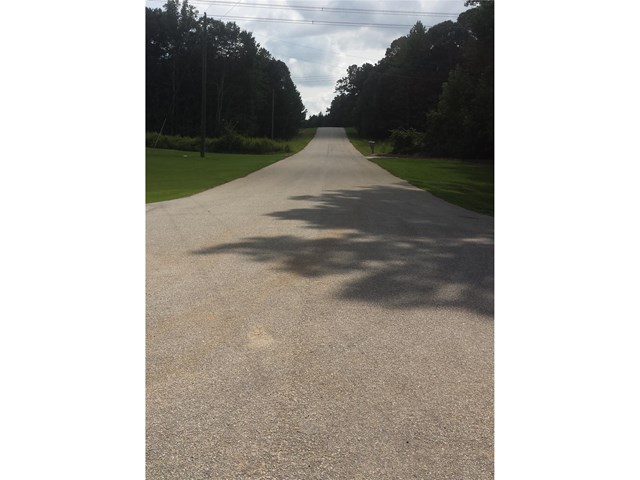 170 Haddock Pt, Brooks, GA 30205 photo 6