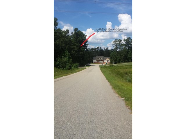 170 Haddock Pt, Brooks, GA 30205 photo 7