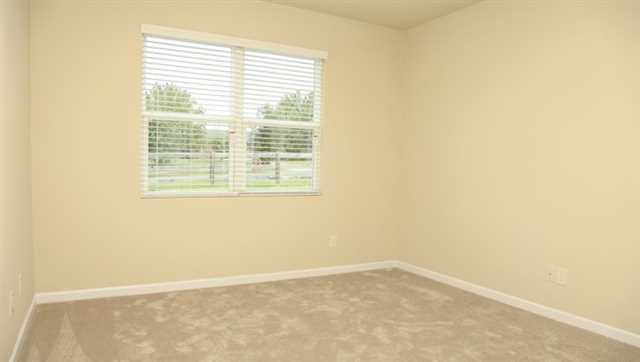 1717 Blue Heron Way, Hampton, GA 30228 photo 6