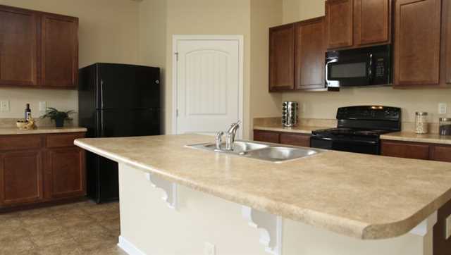 1717 Blue Heron Way, Hampton, GA 30228 photo 3