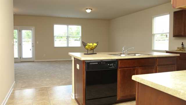 1717 Blue Heron Way, Hampton, GA 30228 photo 5