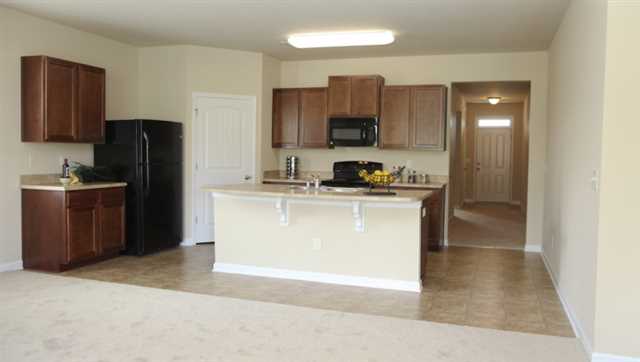 1717 Blue Heron Way, Hampton, GA 30228 photo 4