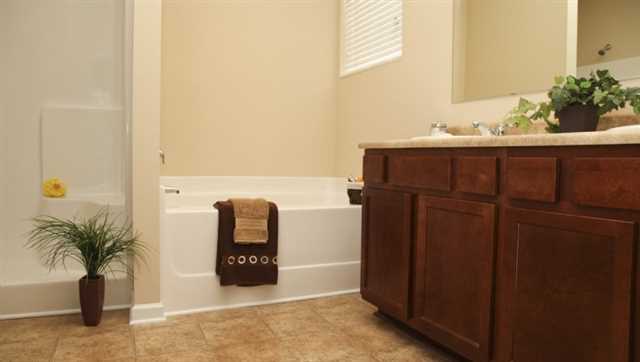 1717 Blue Heron Way, Hampton, GA 30228 photo 7