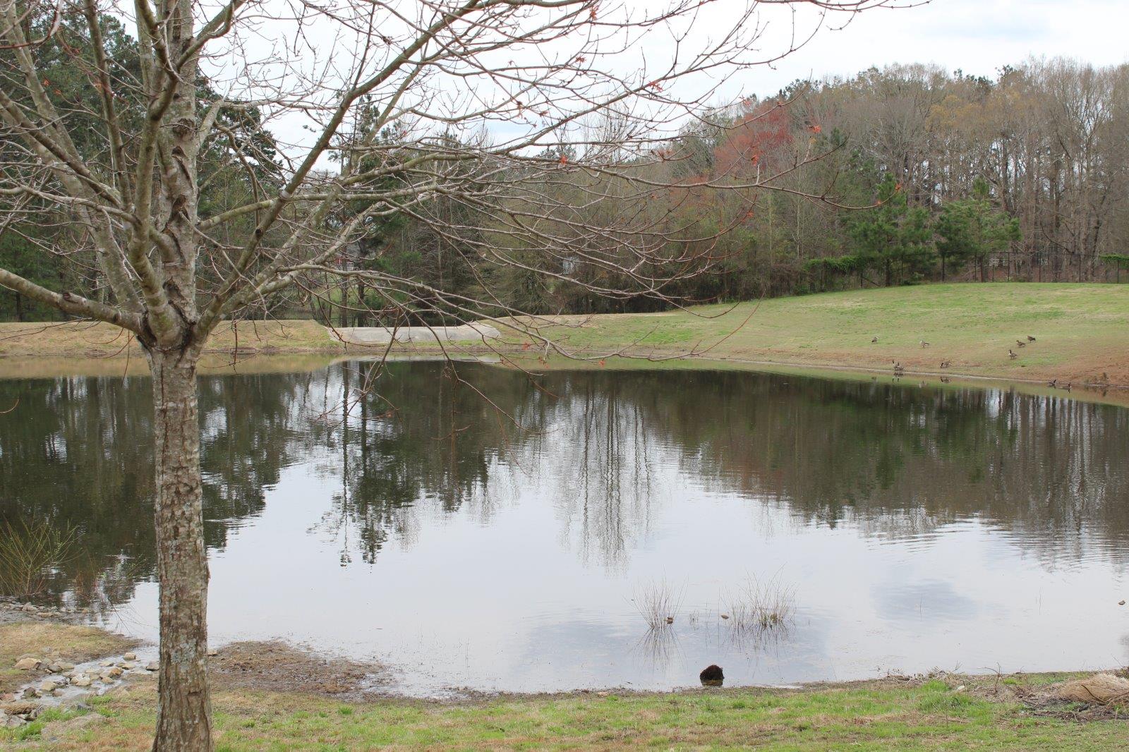 2279 Granite Path Ct, Bethlehem, GA 30620 photo 24