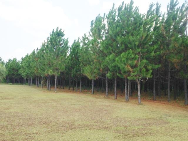 92 Mildred Smith Rd, Kite, GA 31049 photo 22