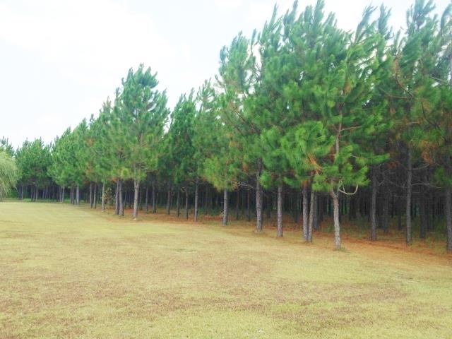 92 Mildred Smith Rd, Kite, GA 31049 photo 21
