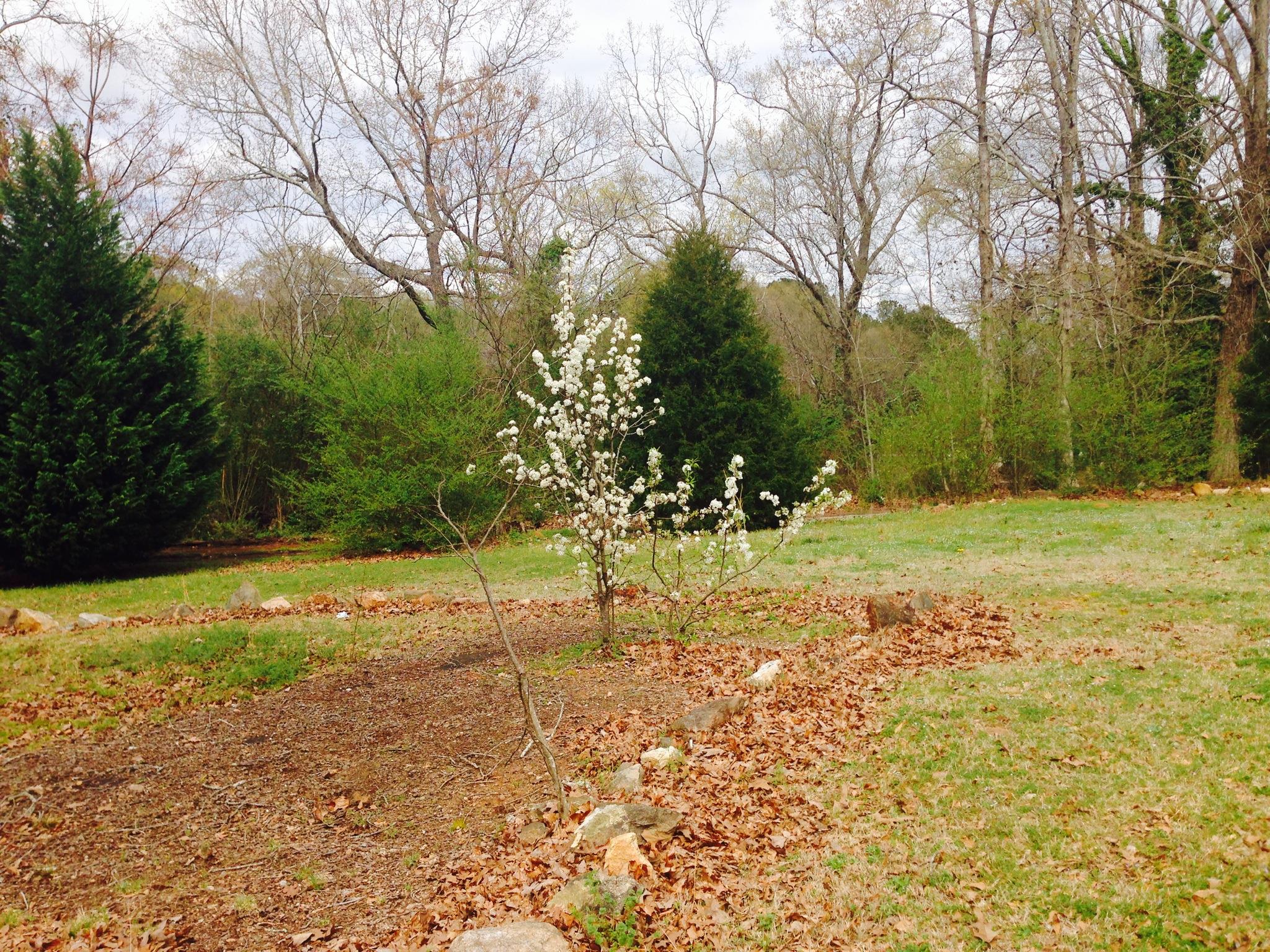 2211 Hwy 81 S, Covington, GA 30016 photo 12