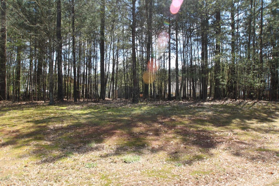 3002 Tennyson Dr, Monroe, GA 30656 photo 23