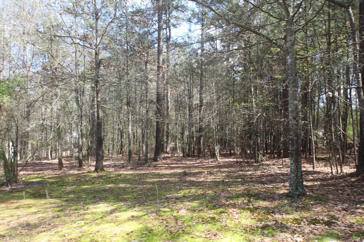 3002 Tennyson Dr, Monroe, GA 30656 photo 24