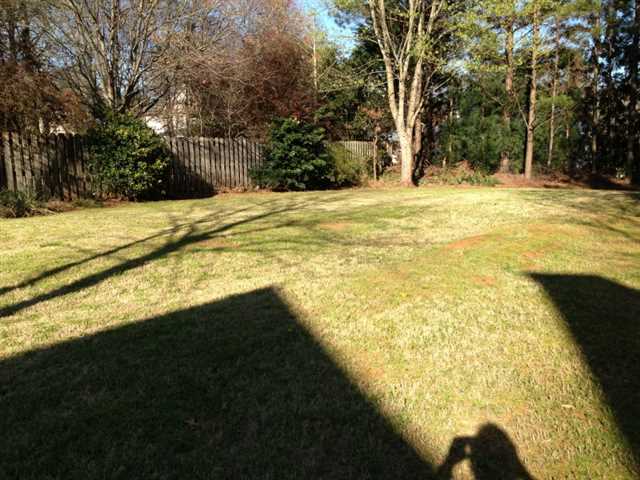 358 Windshore Ct, Suwanee, GA 30024 photo 14