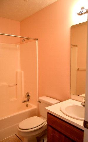 438 Springdale Dr, Pine Mountain, GA 31822 photo 10