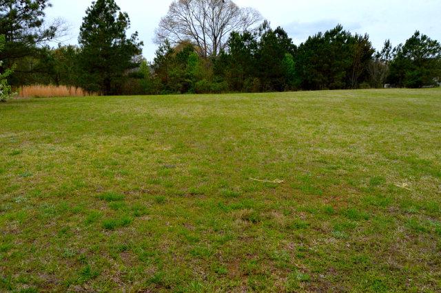 438 Springdale Dr, Pine Mountain, GA 31822 photo 2