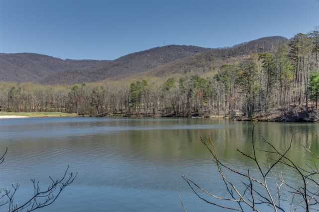 209 Grassy Knob Ct, Jasper, GA 30143 photo 20