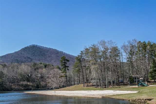 209 Grassy Knob Ct, Jasper, GA 30143 photo 23