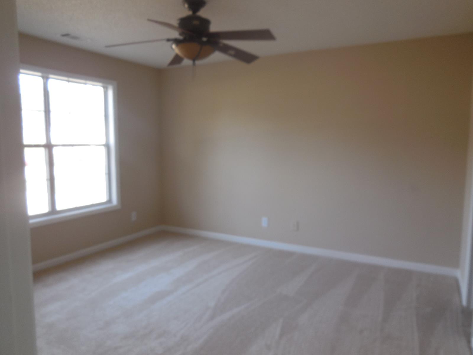 1278 N Hampton Dr, Hampton, GA 30228 photo 7