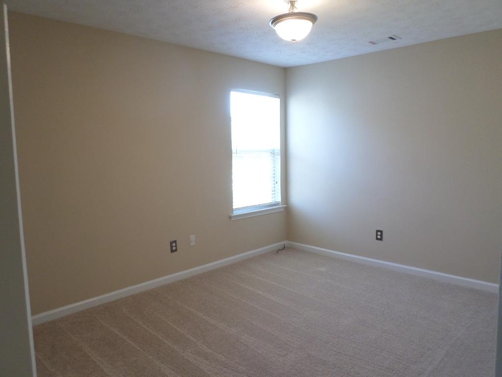 10737 Wimbelton Ct, Hampton, GA 30228 photo 11