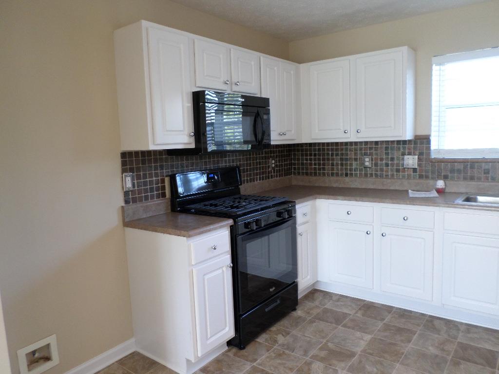 10737 Wimbelton Ct, Hampton, GA 30228 photo 5