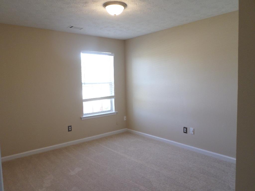 10737 Wimbelton Ct, Hampton, GA 30228 photo 12