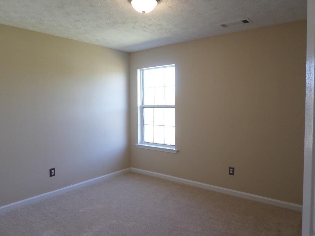 10737 Wimbelton Ct, Hampton, GA 30228 photo 13