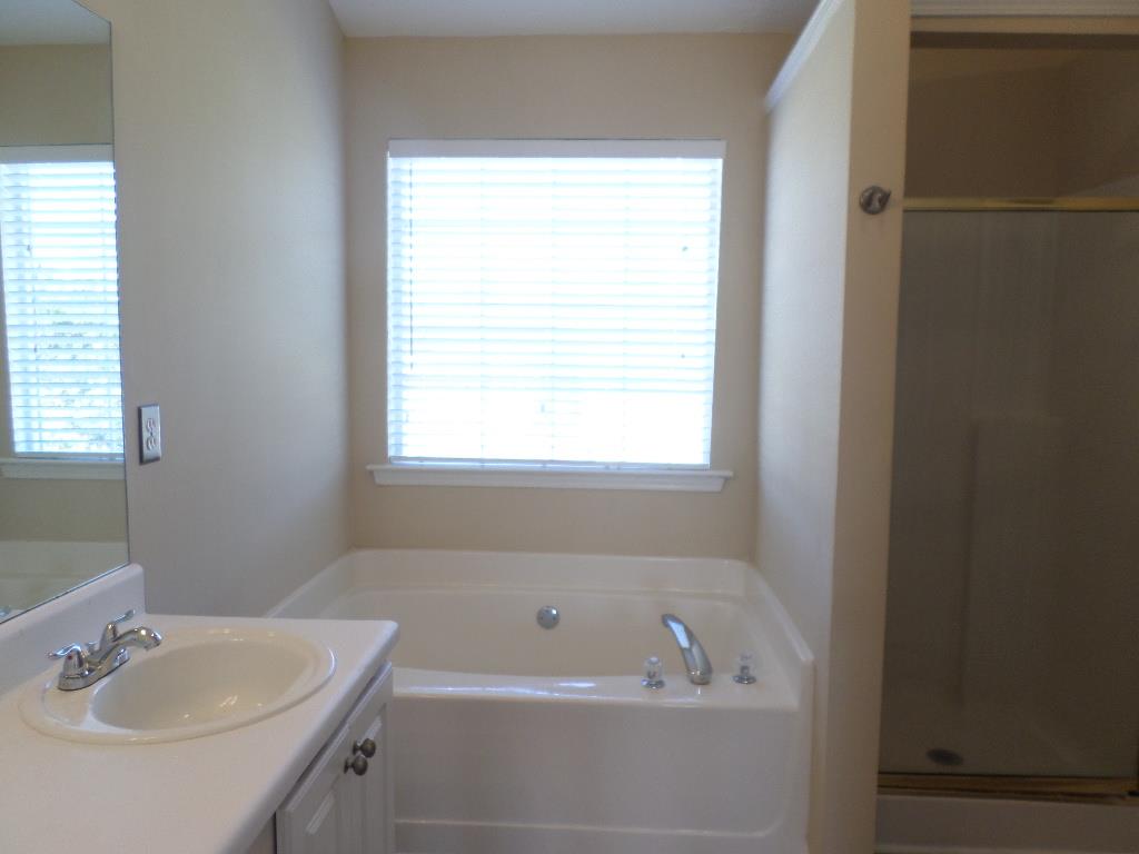 10737 Wimbelton Ct, Hampton, GA 30228 photo 16