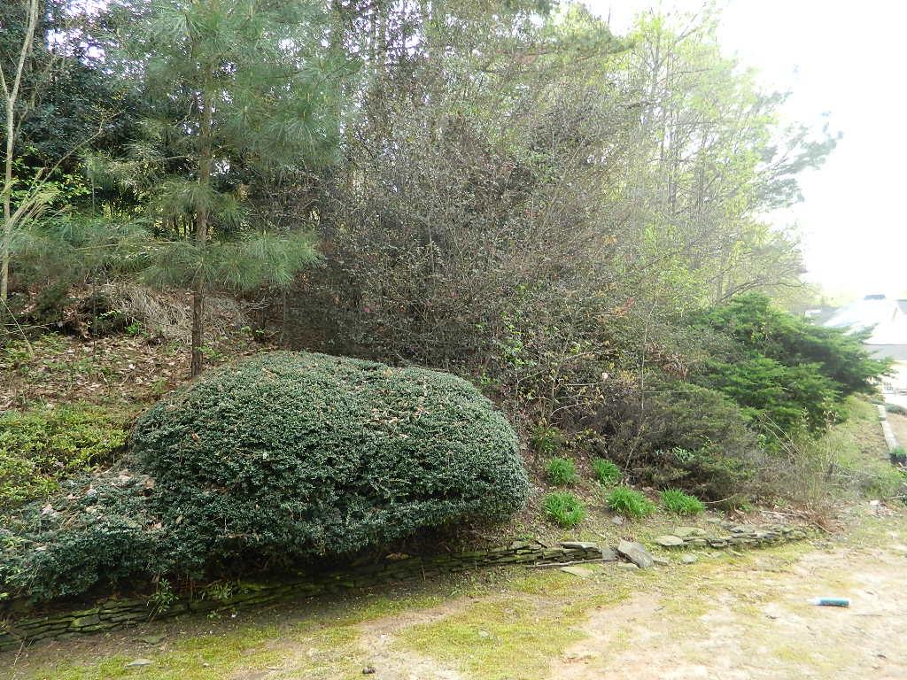 2465 Highbrooke Trl, Duluth, GA 30097 photo 25