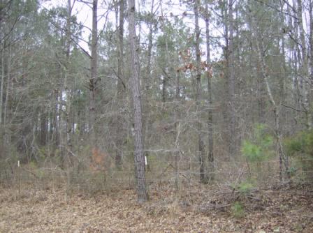 1998 Flint Rd, Culloden, GA 31016 photo 1